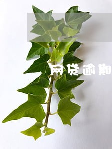 网贷逾期只能辞职吗 网贷逾期只能辞职吗