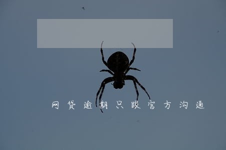 网贷逾期只跟官方沟通