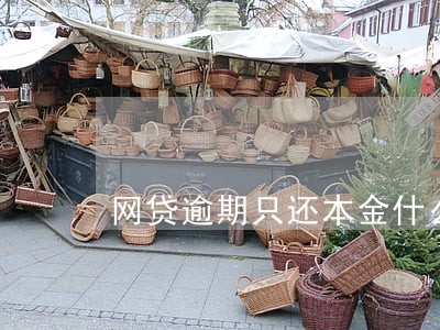网贷逾期只还本金什么途径还 网贷逾期只还本金什么途径还