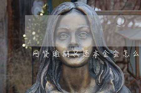 网贷逾期只还本金会怎么样 网贷逾期只还本金会怎么样