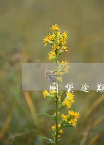 网贷逾期只还本金会怎样 网贷逾期只还本金会怎样