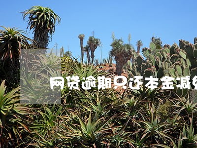 网贷逾期只还本金减免 网贷逾期只还本金减免