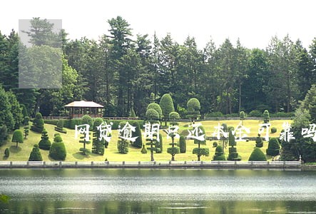 网贷逾期只还本金可靠吗 网贷逾期只还本金可靠吗