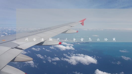 网贷逾期只还本金怎么协商 网贷逾期只还本金怎么协商
