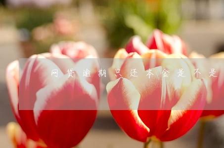 网贷逾期只还本金是不是真的 网贷逾期只还本金是不是真的