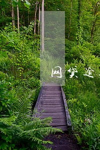 网贷逾期只还本金行不行 网贷逾期只还本金行不行