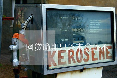 网贷逾期只还本金还不上怎么办 网贷逾期只还本金还不上怎么办