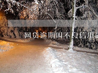 网贷逾期叫不良信用记录 网贷逾期叫不良信用记录