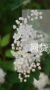 网贷逾期叫去法院开庭 网贷逾期叫去法院开庭