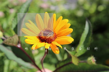 网贷逾期叫我准备材料 网贷逾期叫我准备材料