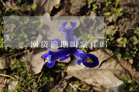 网贷逾期叫案件吗 网贷逾期叫案件吗