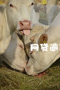网贷逾期可不可以坐高铁 网贷逾期可不可以坐高铁