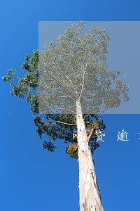 网贷逾期可不可以推几个月 网贷逾期可不可以推几个月