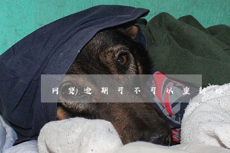 网贷逾期可不可以重新协商分期