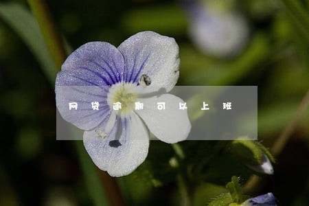 网贷逾期可以上班