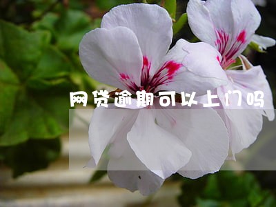 网贷逾期可以上门吗