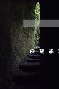 网贷逾期可以下的小贷有哪些 网贷逾期可以下的小贷有哪些