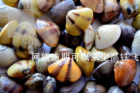 网贷逾期可以乘坐高铁飞机吗 网贷逾期可以乘坐高铁飞机吗