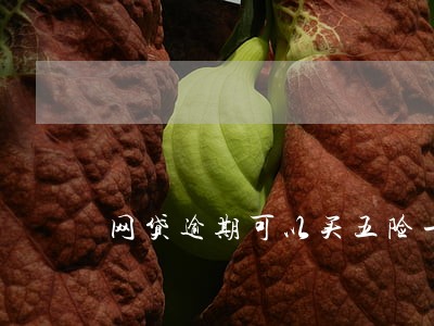 网贷逾期可以买五险一金吗 网贷逾期可以买五险一金吗