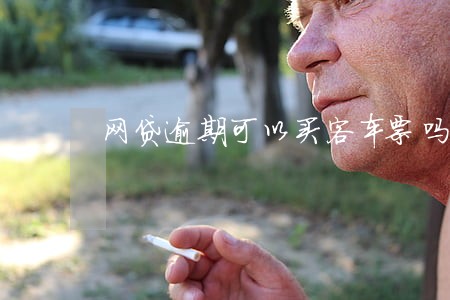 网贷逾期可以买客车票吗 网贷逾期可以买客车票吗