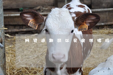 网贷逾期可以买房供楼吗 网贷逾期可以买房供楼吗
