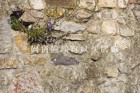 网贷逾期可以买房嘛 网贷逾期可以买房嘛