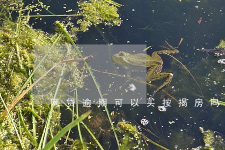 网贷逾期可以买按揭房吗 网贷逾期可以买按揭房吗