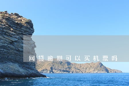 网贷逾期可以买机票吗 网贷逾期可以买机票吗