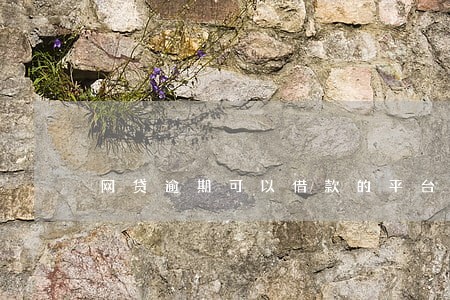 网贷逾期可以借款的平台 网贷逾期可以借款的平台