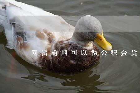 网贷逾期可以做公积金贷款吗 网贷逾期可以做公积金贷款吗