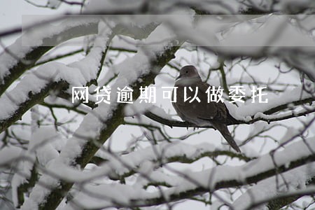 网贷逾期可以做委托 网贷逾期可以做委托