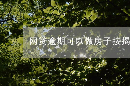 网贷逾期可以做房子按揭吗 网贷逾期可以做房子按揭吗