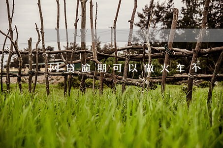 网贷逾期可以做火车不 网贷逾期可以做火车不