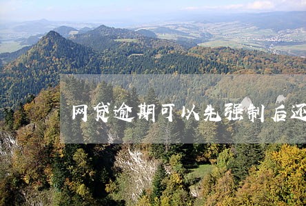 网贷逾期可以先强制后还款么 网贷逾期可以先强制后还款么