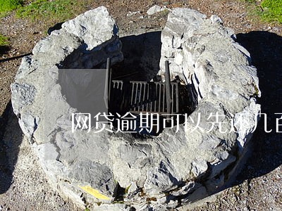 网贷逾期可以先还几百进去吗 网贷逾期可以先还几百进去吗