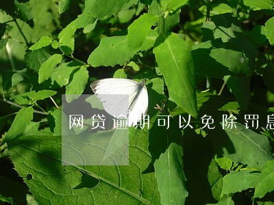 网贷逾期可以免除罚息吗 网贷逾期可以免除罚息吗