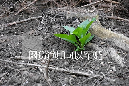 网贷逾期可以军婚 网贷逾期可以军婚
