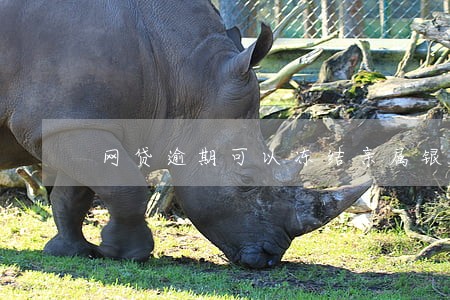 网贷逾期可以冻结亲属银行卡吗 网贷逾期可以冻结亲属银行卡吗