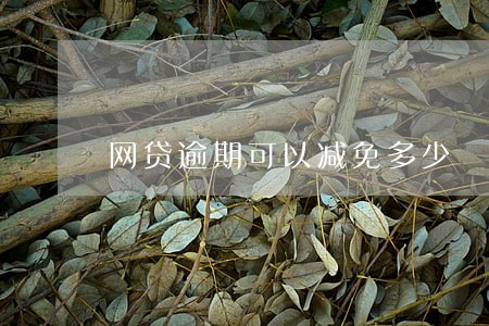网贷逾期可以减免多少