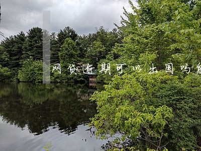 网贷逾期可以出国吗能出国吗 网贷逾期可以出国吗能出国吗