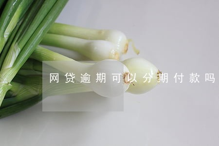 网贷逾期可以分期付款吗 网贷逾期可以分期付款吗