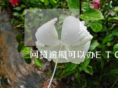 网贷逾期可以办ETC卡吗 网贷逾期可以办ETC卡吗
