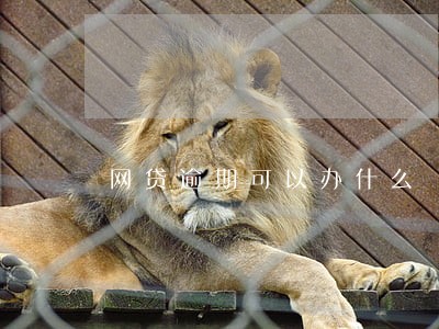 网贷逾期可以办什么 网贷逾期可以办什么