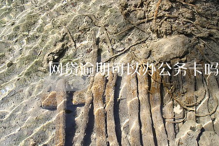 网贷逾期可以办公务卡吗 网贷逾期可以办公务卡吗