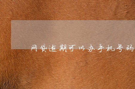 网贷逾期可以办手机号码 网贷逾期可以办手机号码