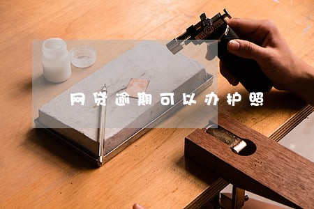 网贷逾期可以办护照 网贷逾期可以办护照