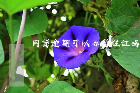 网贷逾期可以办暂住证吗 网贷逾期可以办暂住证吗