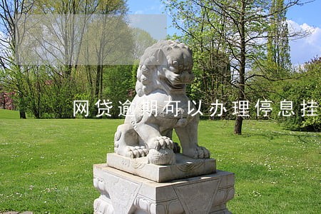 网贷逾期可以办理停息挂账吗