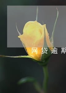 网贷逾期可以办理创业贷吗 网贷逾期可以办理创业贷吗