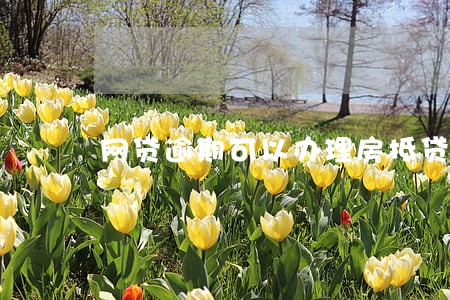 网贷逾期可以办理房抵贷吗